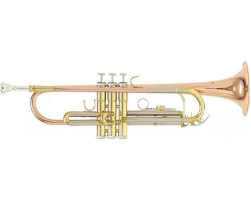 dt37508_132163-500x400