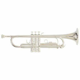 Roy Benson TR-202S Труба