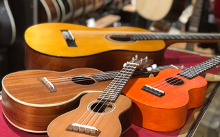 Гитары, укулеле
