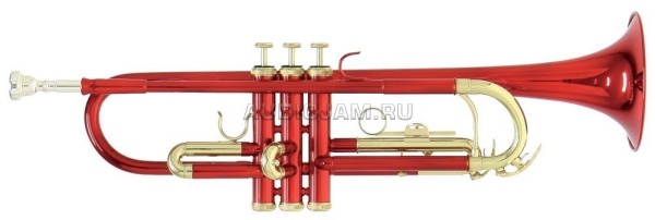 b1325100a5514936a33f00c9bf070263